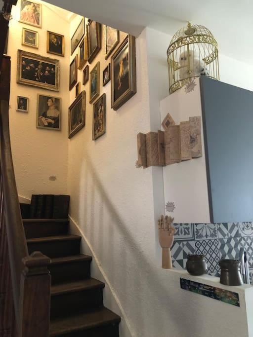 Maison Harry Potter Pour 6 Personnes En Centre Ville Montauban Eksteriør bilde